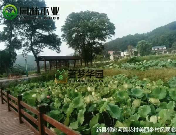 湖南宅男视频污版风雨廊